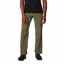 Columbia Men's Silver Ridge Utility Walking Pant - Stone Green
