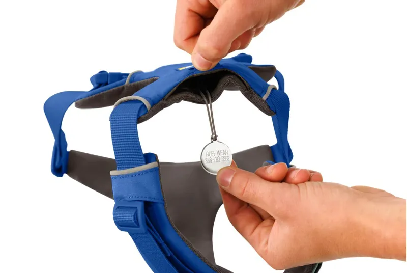 Ruffwear Front Range Harness - Blue Pool-4
