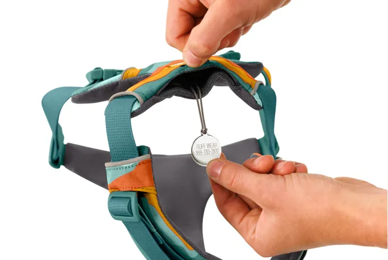 Ruffwear Front Range Harness - Spring Mountains-4