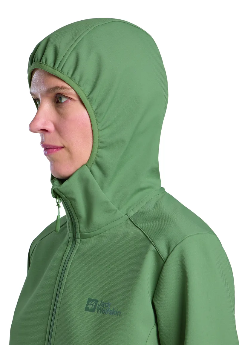 Jack Wolfskin Women's Bornberg Softshell Hoody - Eucalyptus-5