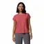 Columbia Women's Daniela Falls Technical T-Shirt - Washed Red