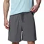 Columbia Men's Vital Valley Hiking Shorts - City Grey/Black