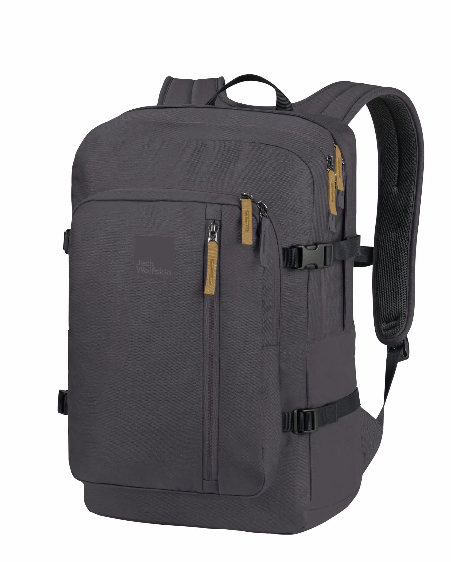 Scansmart Backpack Swiss Gear Backpack With Luggage Strap