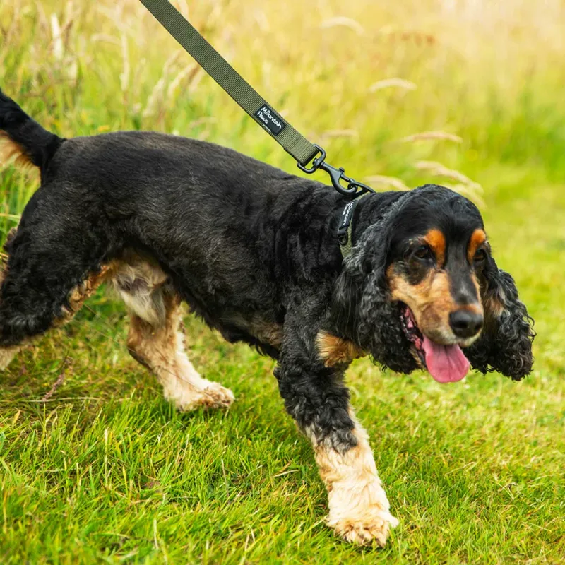 Mountain Paws Extra Tough Dog Lead - Camo-3