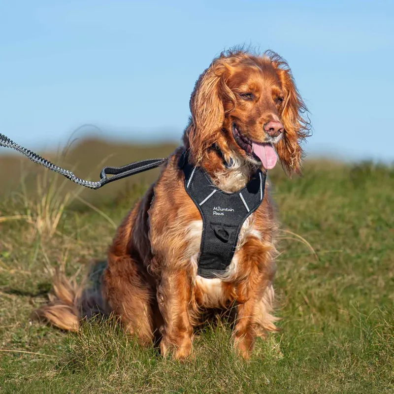 Mountain Paws Dog Harness - Black-3