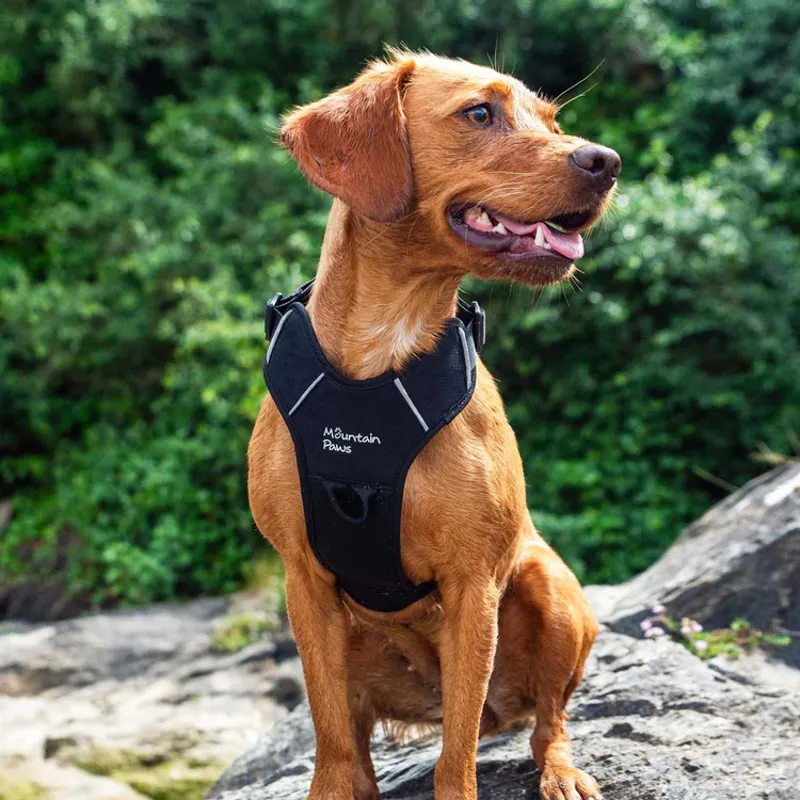 Mountain Paws Dog Harness - Black-4