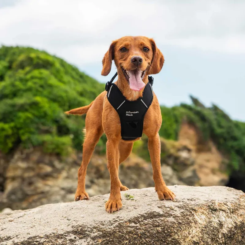 Mountain Paws Dog Harness - Black-5