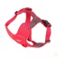 Mountain Paws Dog Harness - Red
