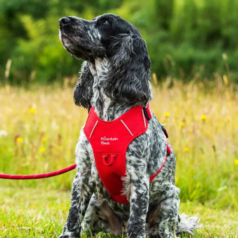 Mountain Paws Dog Harness - Red-3