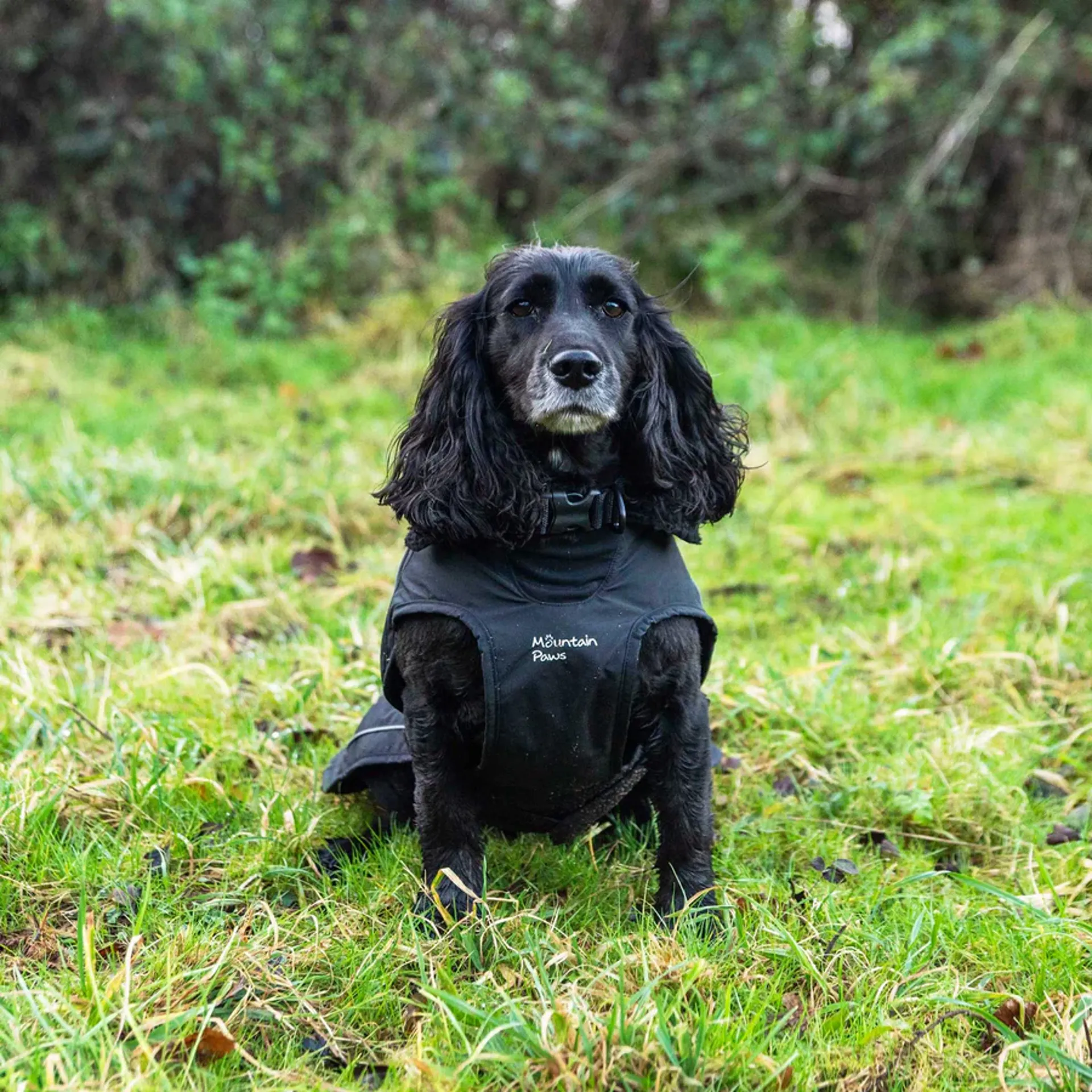 Mountain Paws Fleece Lined Dog Coat Black