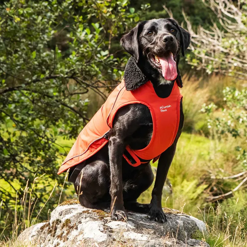 Mountain Paws Fleece Lined Dog Coat - Orange-3