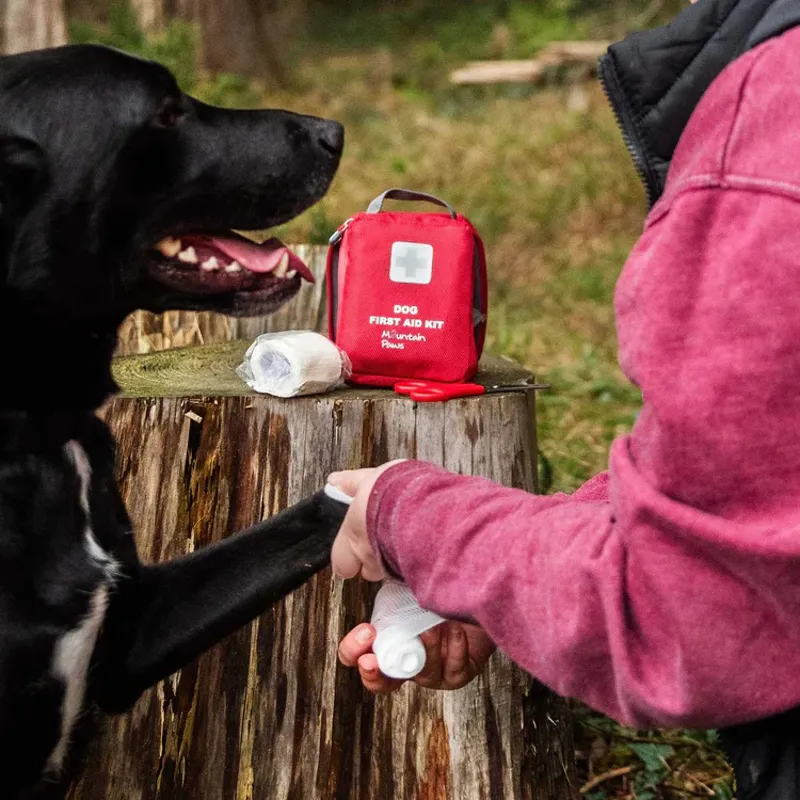 Mountain Paws Dog First Aid Kit - Red-4
