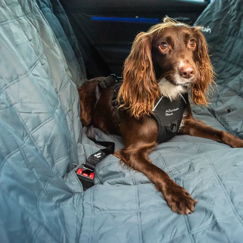 Mountain Paws Dog Seat Belt-2