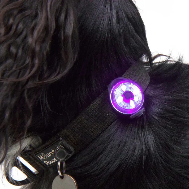 Mountain Paws Dog Safety Light 2 Pack-3