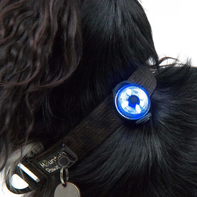 Mountain Paws Dog Safety Light 2 Pack-4