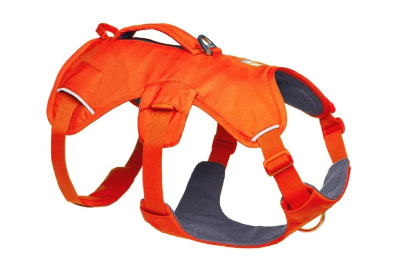 Ruffwear Web Master Harness - Blaze Orange