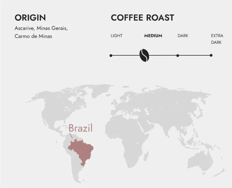 The Brew Company Brazil Coffeebrewer-1