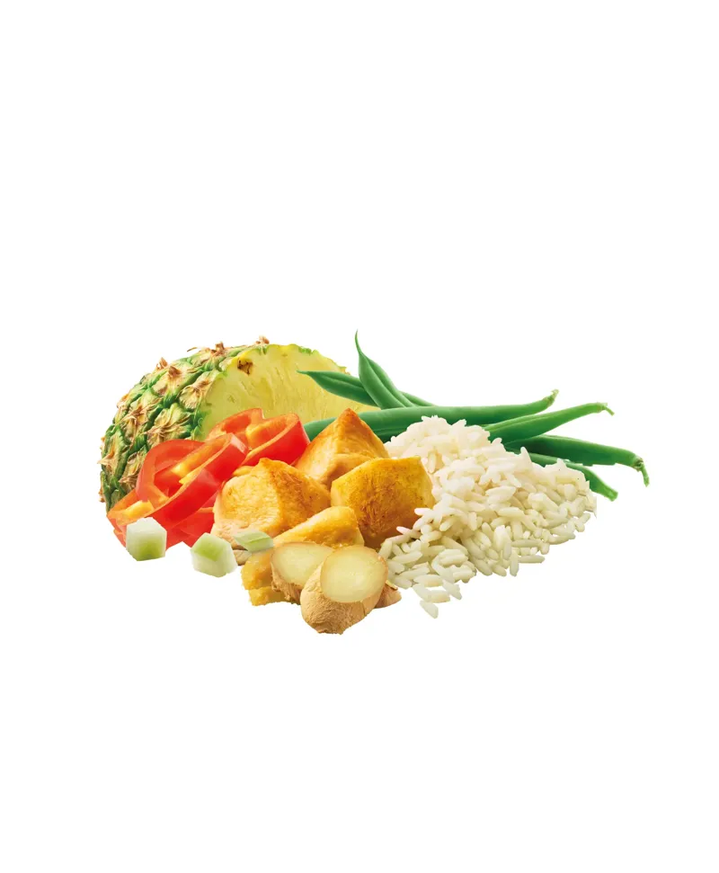 Adventure Food Chicken Curry-1