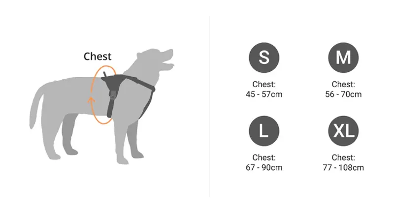 Mountain Paws Dog Harness - Black-7