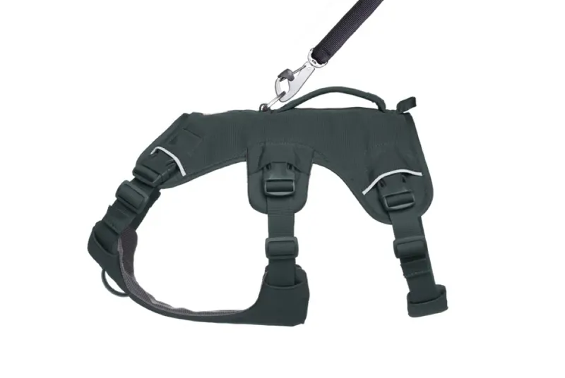 Ruffwear Web Master Harness - Basalt Grey-3