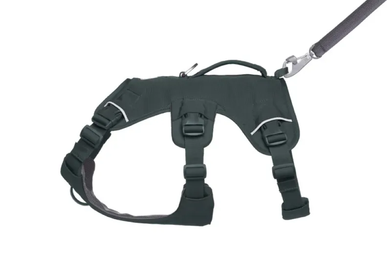 Ruffwear Web Master Harness - Basalt Grey-4