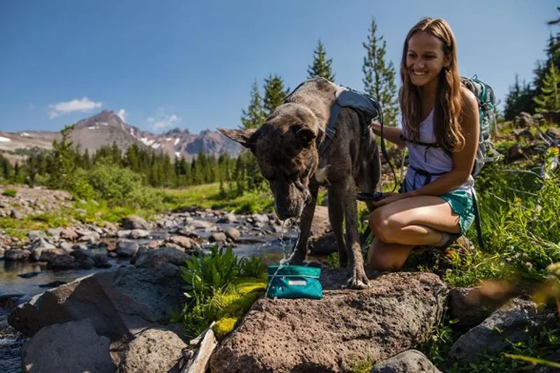 Ruffwear Quencher Small Packable Dog Bowl - Tumalo Teal-2
