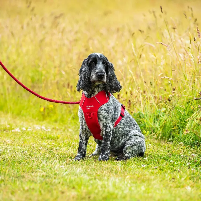 Mountain Paws Rope Dog Lead - Red-2