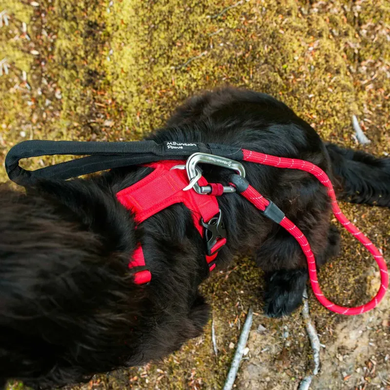 Mountain Paws Rope Dog Lead - Red-4