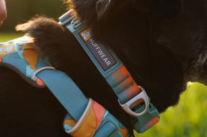 Ruffwear Front Range Collar - Spring Fade-3