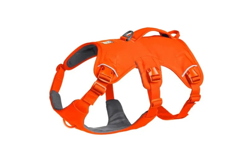 Ruffwear Web Master Harness - Blaze Orange-1