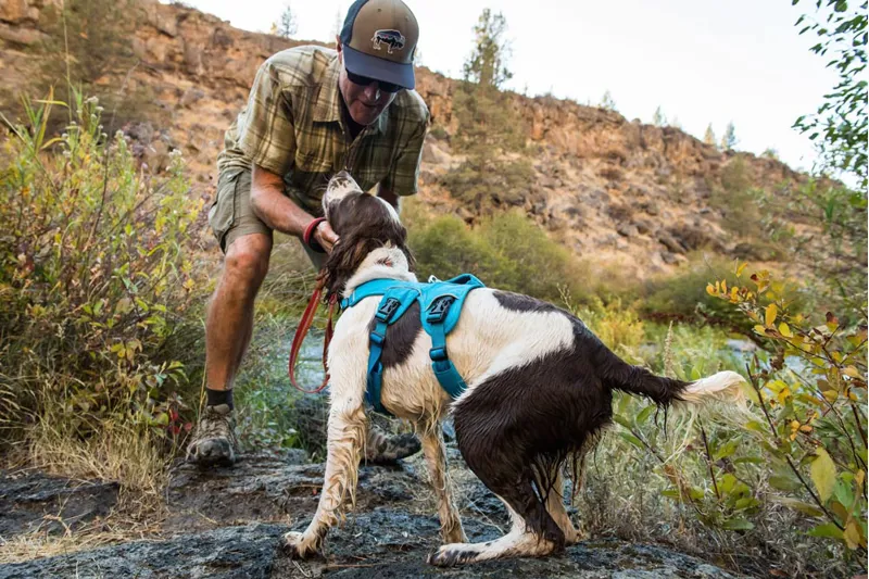 Ruffwear hiking harness hotsell