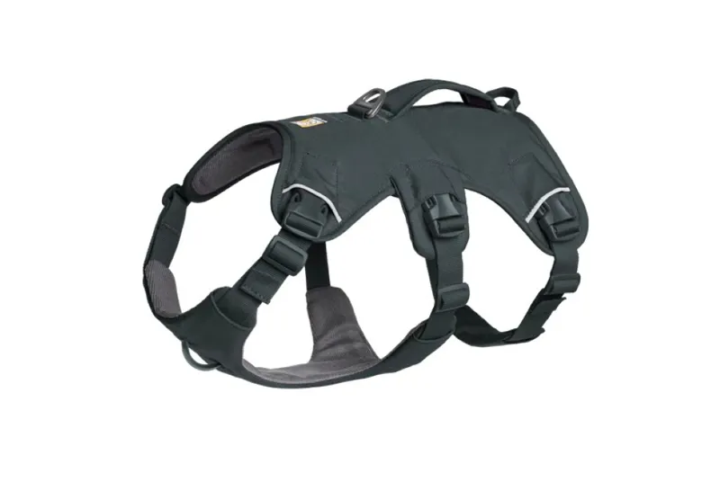 Ruffwear Web Master Harness - Basalt Grey-1